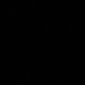 Meet your Posher, Ivy